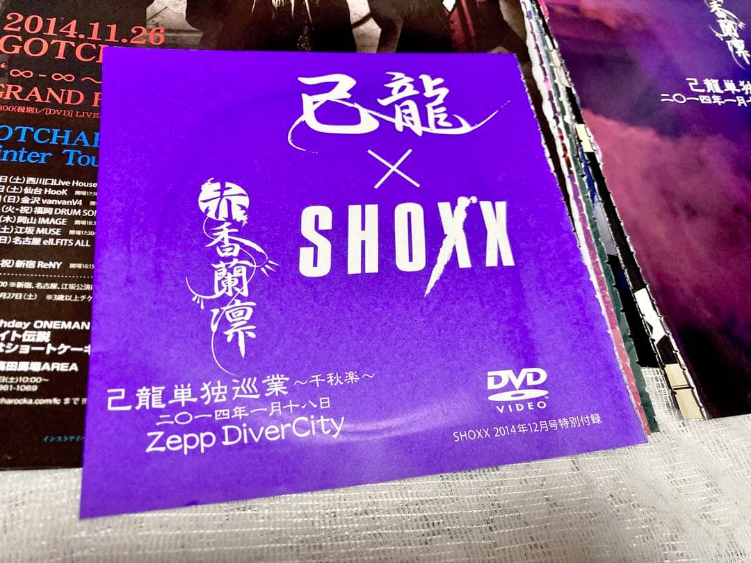 己龍 雑誌 切り抜き100枚以上＋DVD1枚,ステッカー1枚