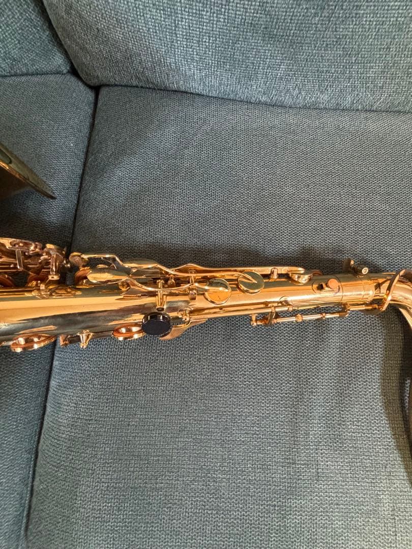 ヤナギサワ　テナーサックス　T50 YANAGISAWA Aizenケース