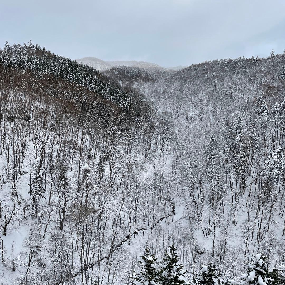 鹿ジャーキー犬用 脛スティック900g＆鹿ジャーキー犬用800g