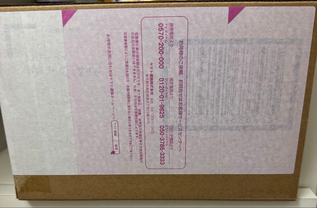 真骨彫 仮面ライダーサイガ