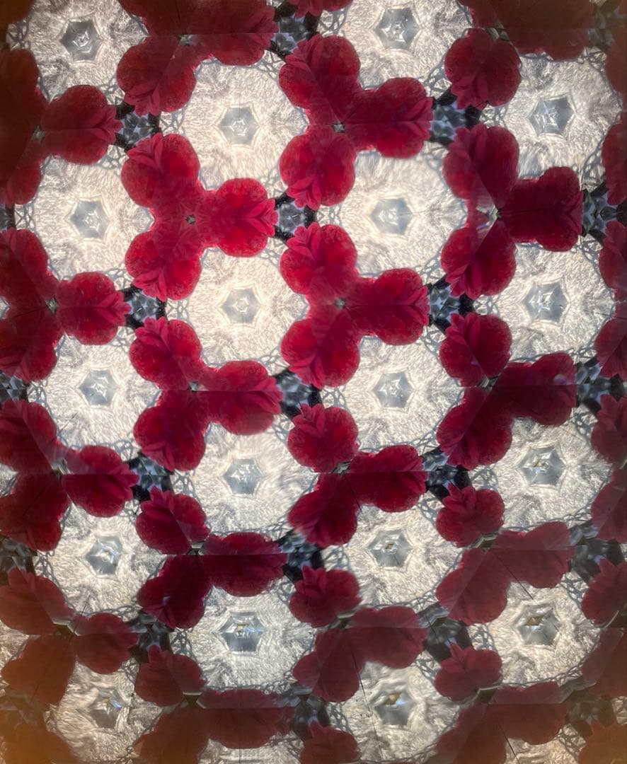 長いテレイドスコープ、24cm,ロイコヘンの作品