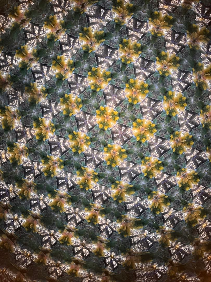 長いテレイドスコープ、24cm,ロイコヘンの作品