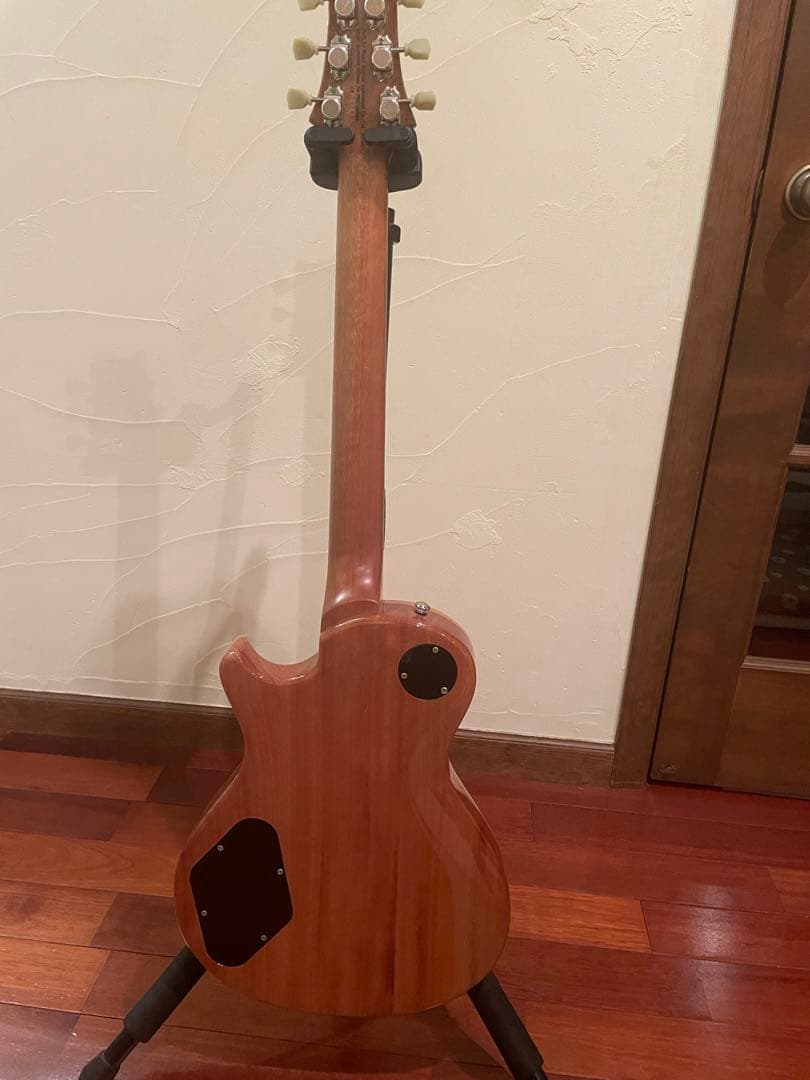 PRS SE Zack Myers シグネーチャーモデル　USED