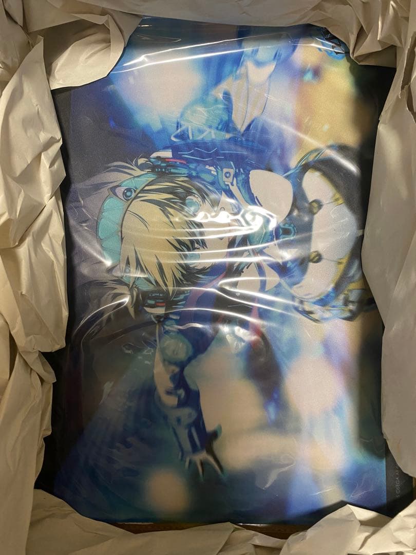 新品未開封 限定版 ラバーマット付き アイギス エクストリームオルギアモード