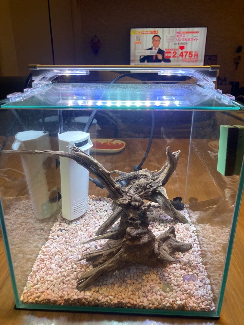 kotobuki 300×300×300 水槽セット