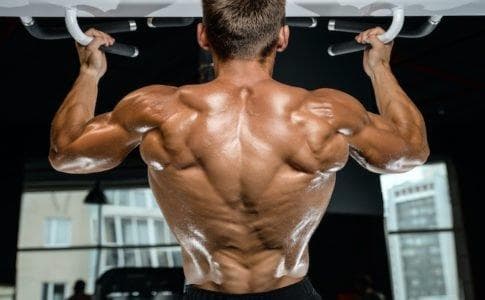 スマート・ラット（チンニング＆ロープーリー）パワーテック社WB-HR16用