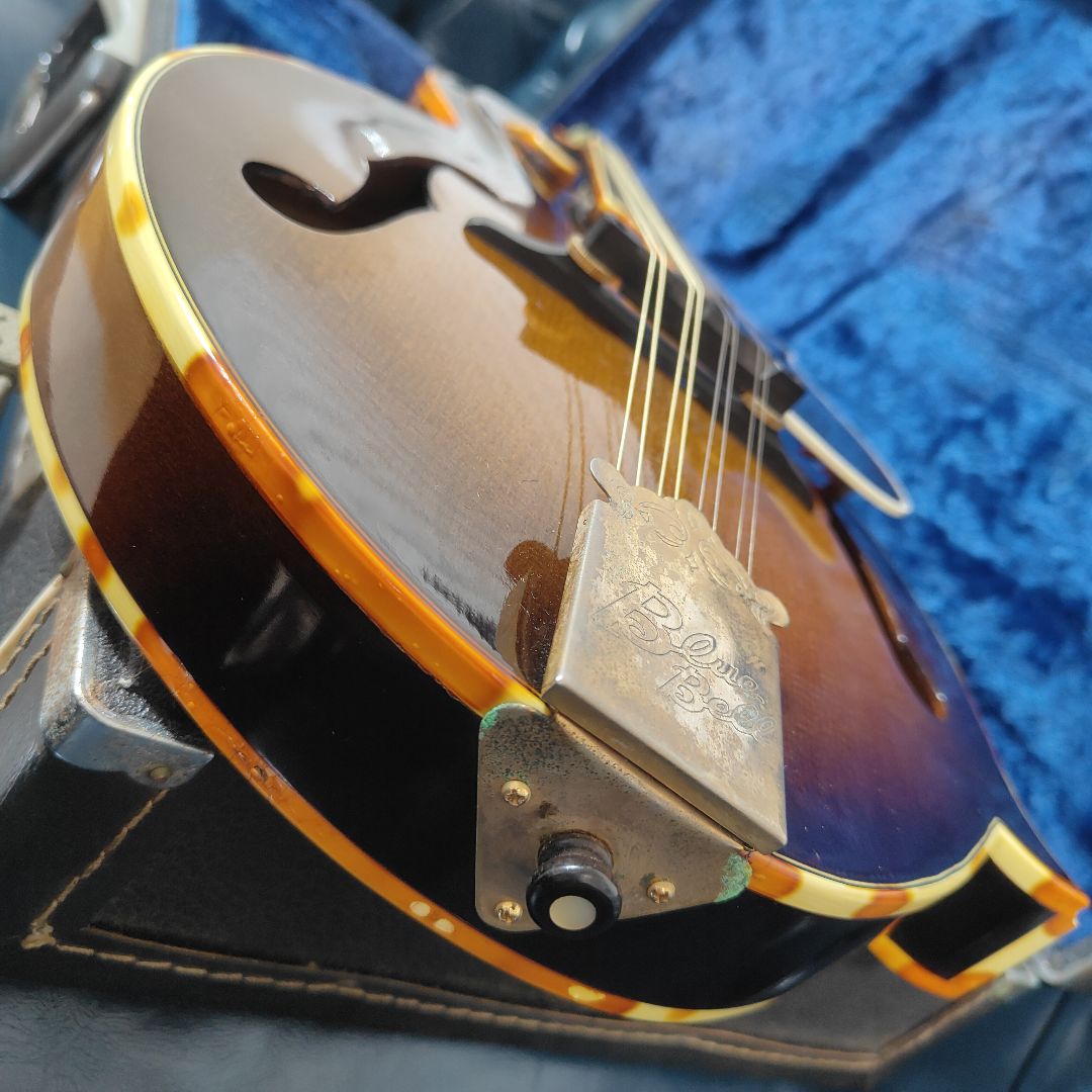 BLUE BELL F-10 マンドリン ブルーベル