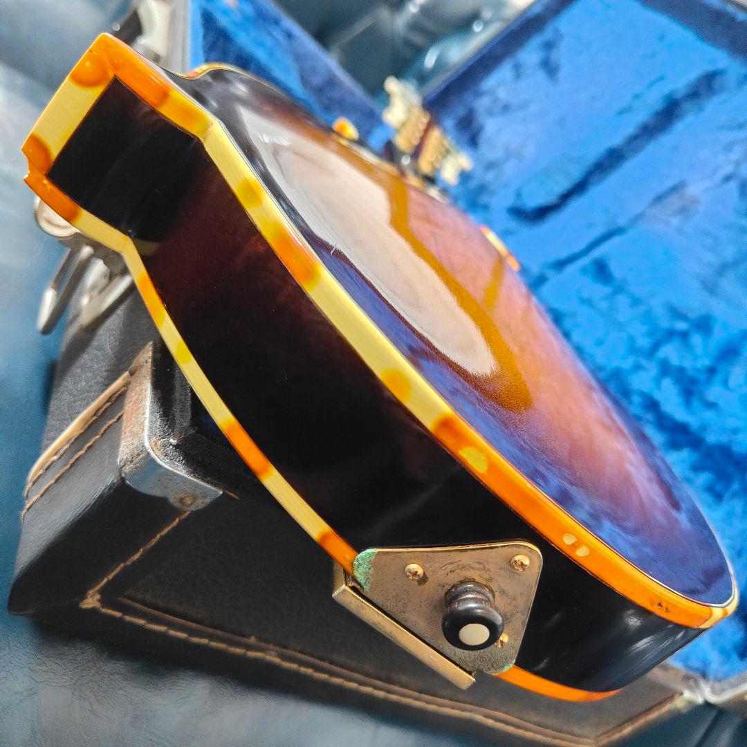 BLUE BELL F-10 マンドリン ブルーベル