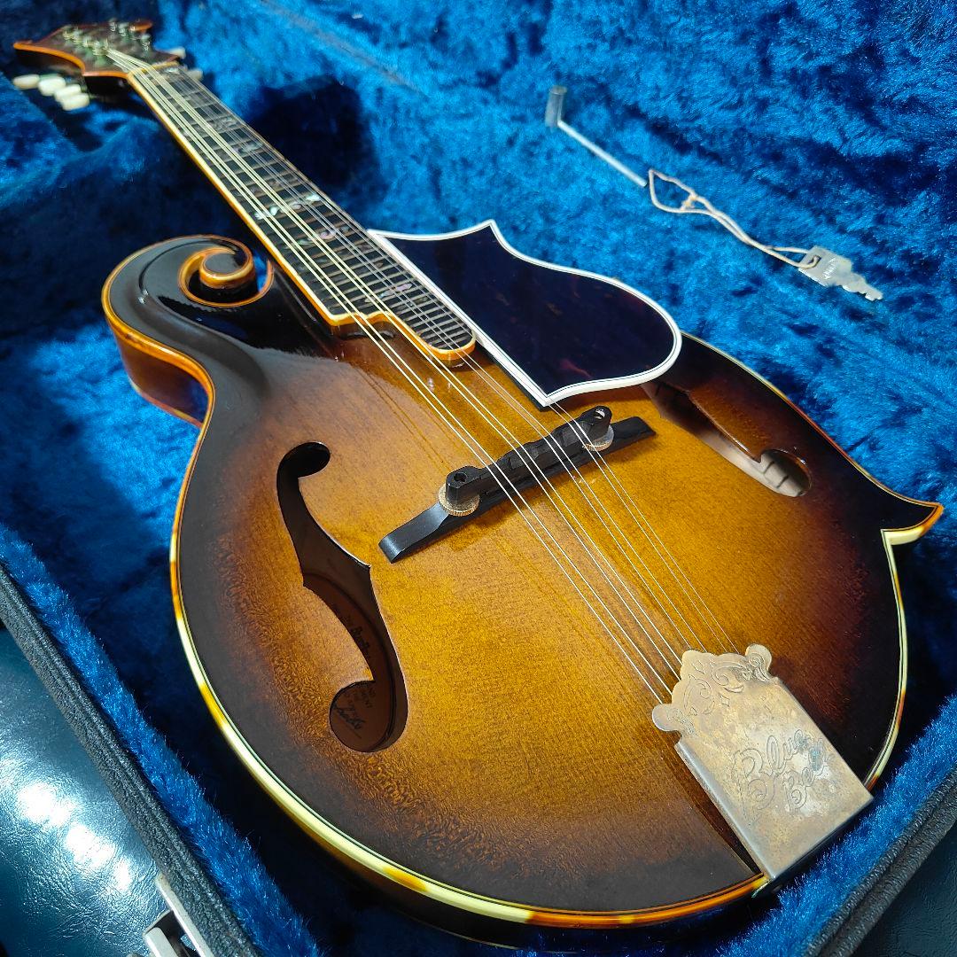 BLUE BELL F-10 マンドリン ブルーベル