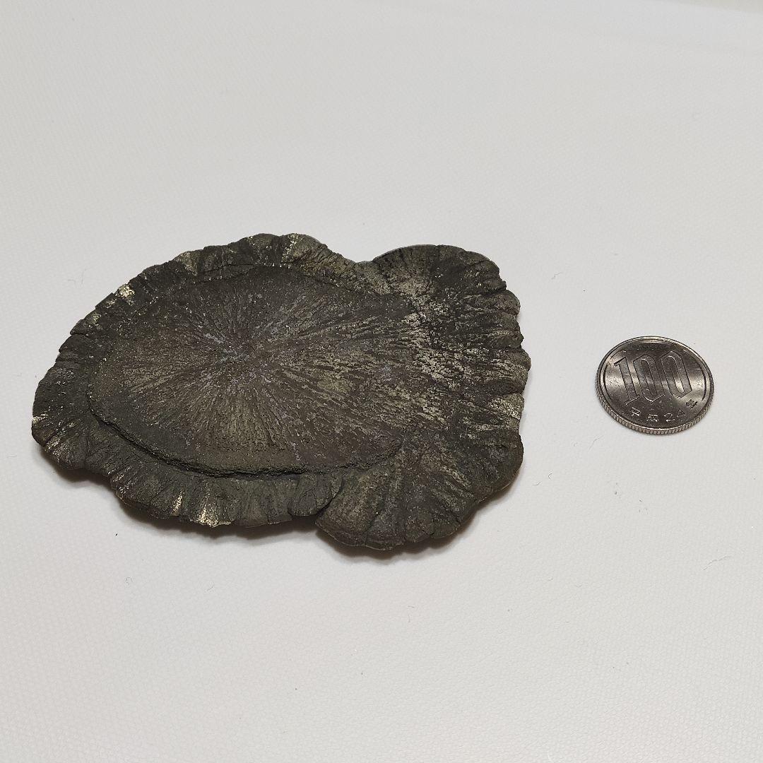 希少　パワーストーン　パイライトサン　黄鉄鉱　天然石　151g　No.646