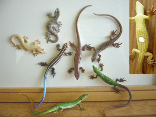 ♯Gti10IVネイチャーMONOトカゲヤモリストラップ マグネット14種