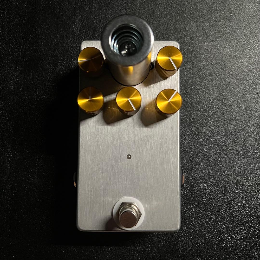 ギター Lee Custom Amplifier / VJCM-800