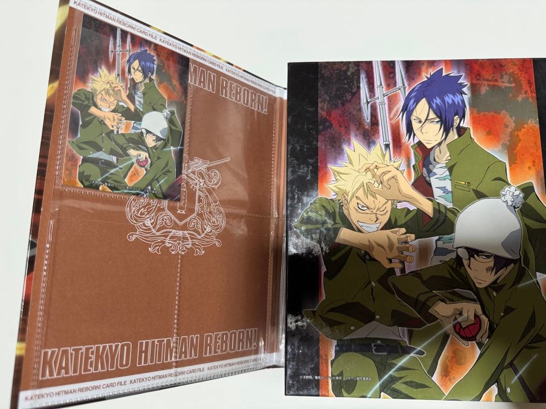 家庭教師ヒットマンREBORNリボーン カード サザンクロス まとめ売り108枚