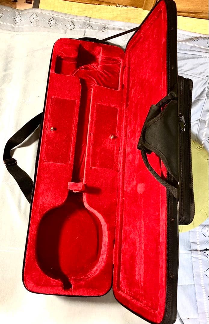 【美品】初心者向け三線本体、ハードケース付き（ハードケース金具一部にサビあり）