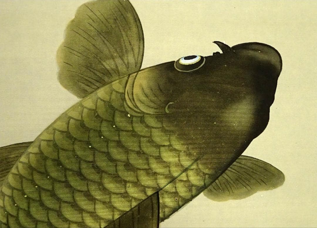 掛軸 坂本宗春『跳ね鯉図』日本画 絹本 肉筆 共箱付 掛け軸 s011425