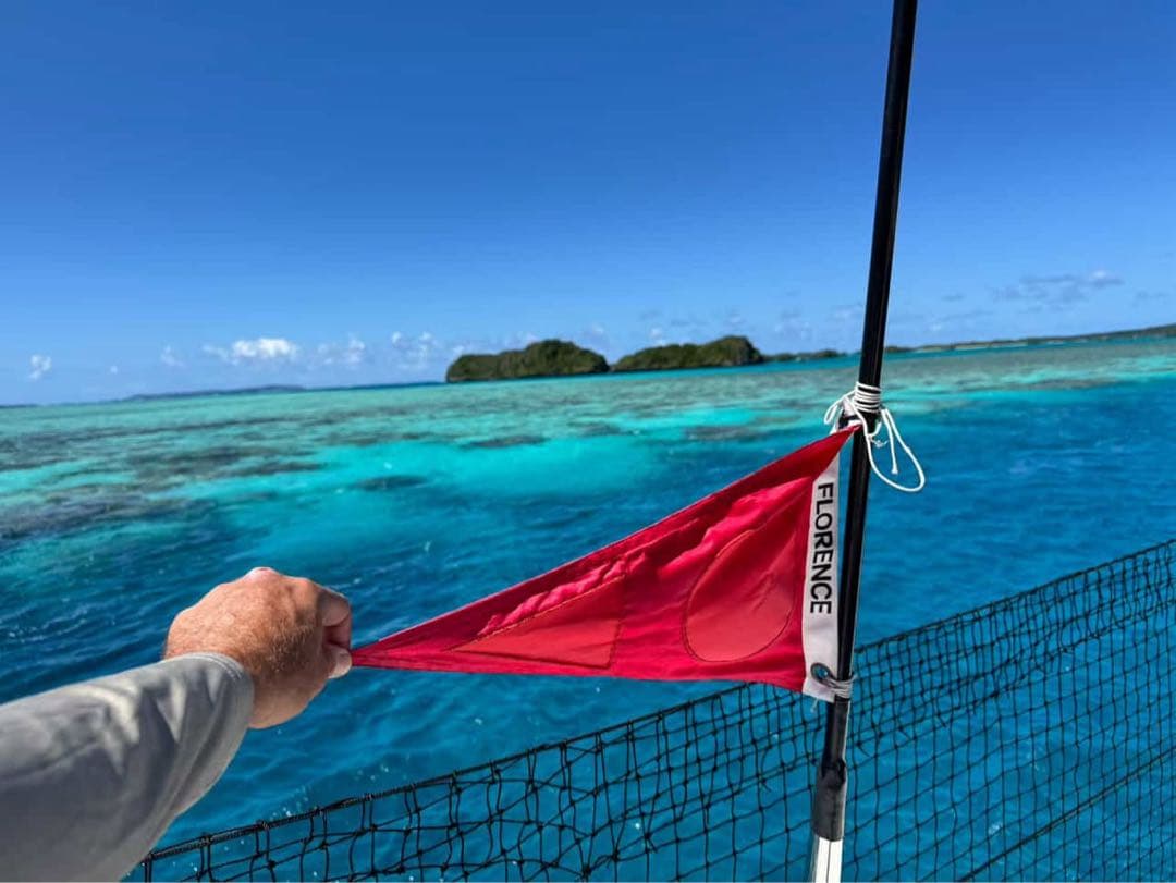 PYZEL ダークアーツ　ジョンジョン・フローレンス 使用ボード