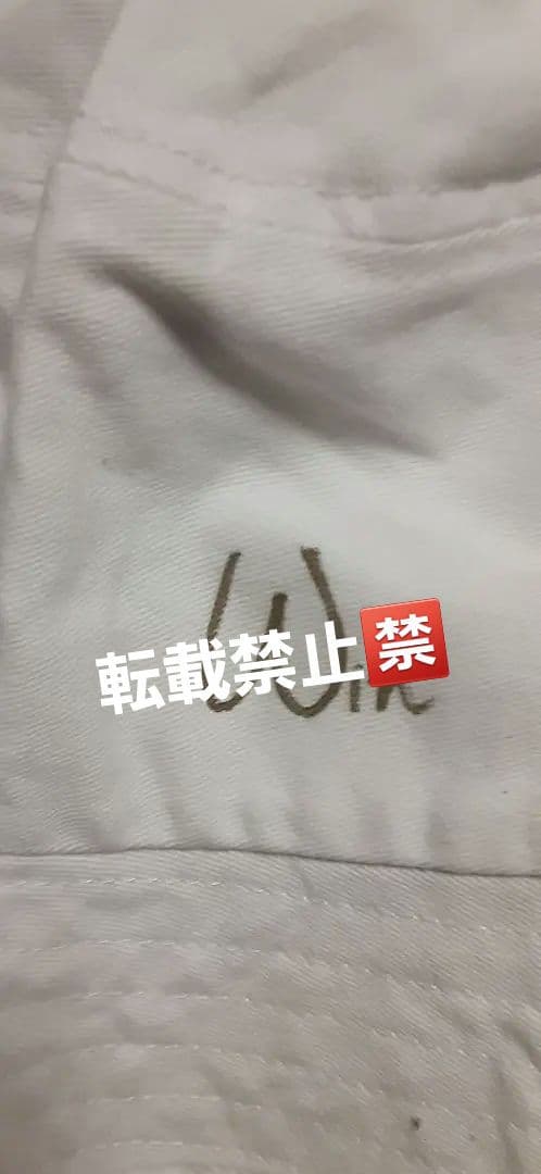 fantopia 帽子　winwin brightwin