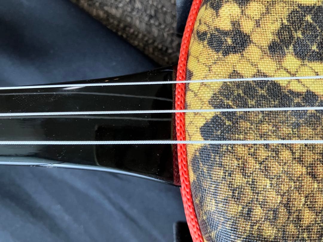 三線本体 専用ケース付き