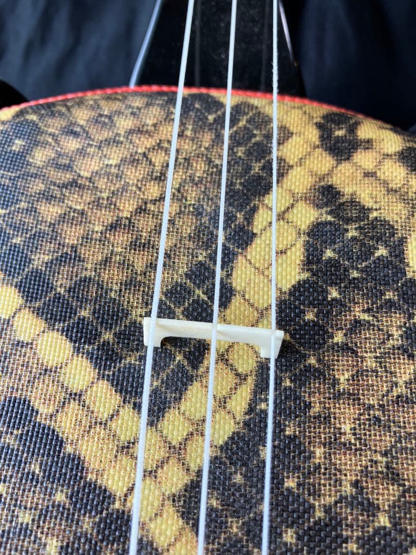 三線本体 専用ケース付き