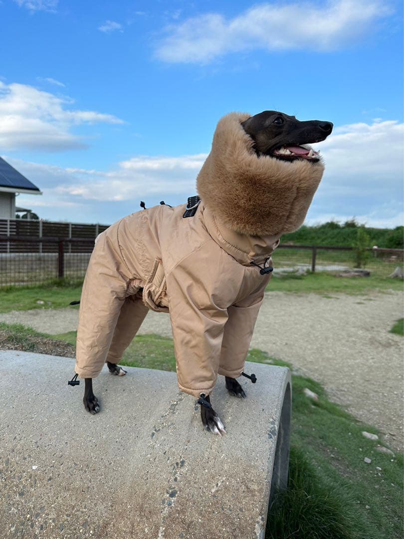 イタグレ スノースーツ