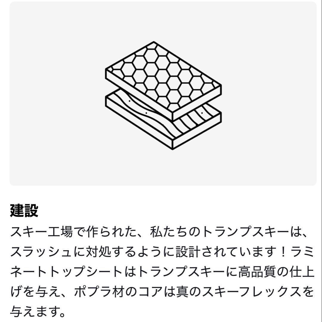 Ski Addiction Tramp Skies オフトレ トランプスキー