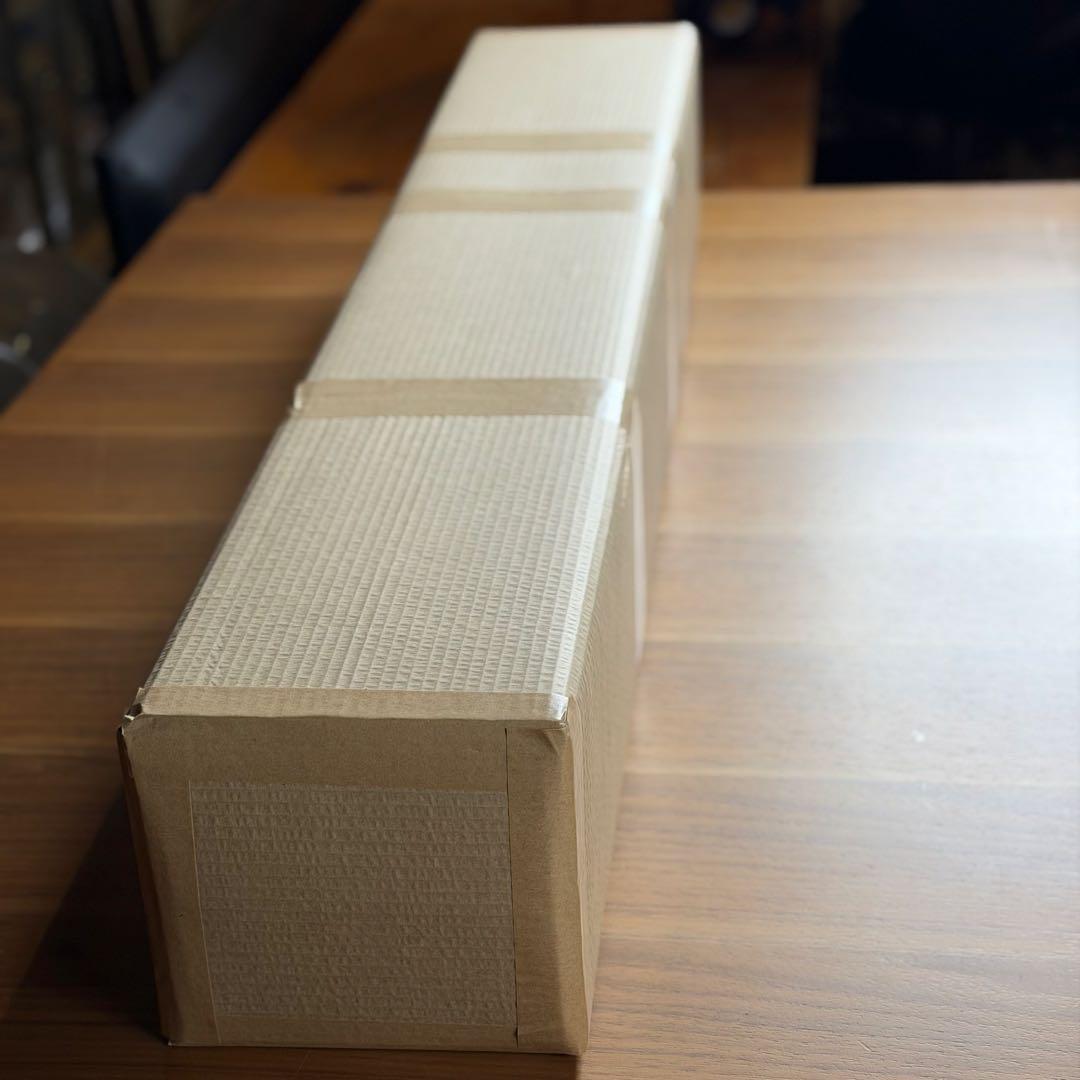 Ski Addiction Tramp Skies オフトレ トランプスキー