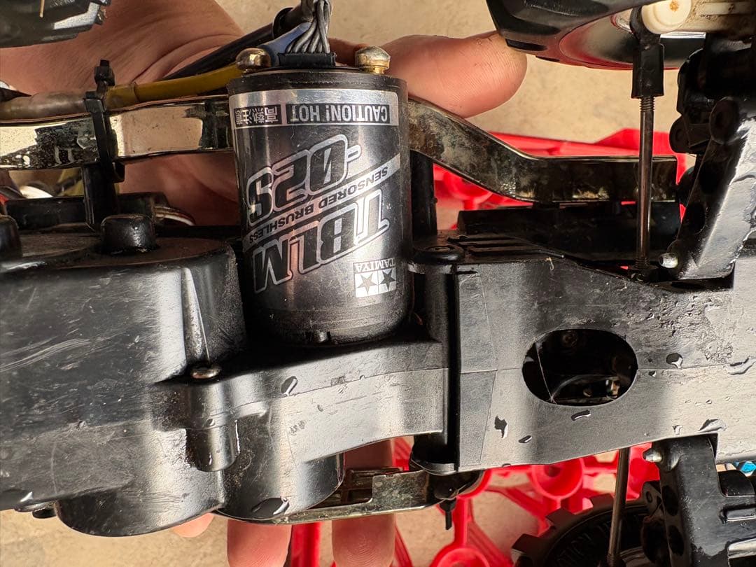 ワイルドウィリー2