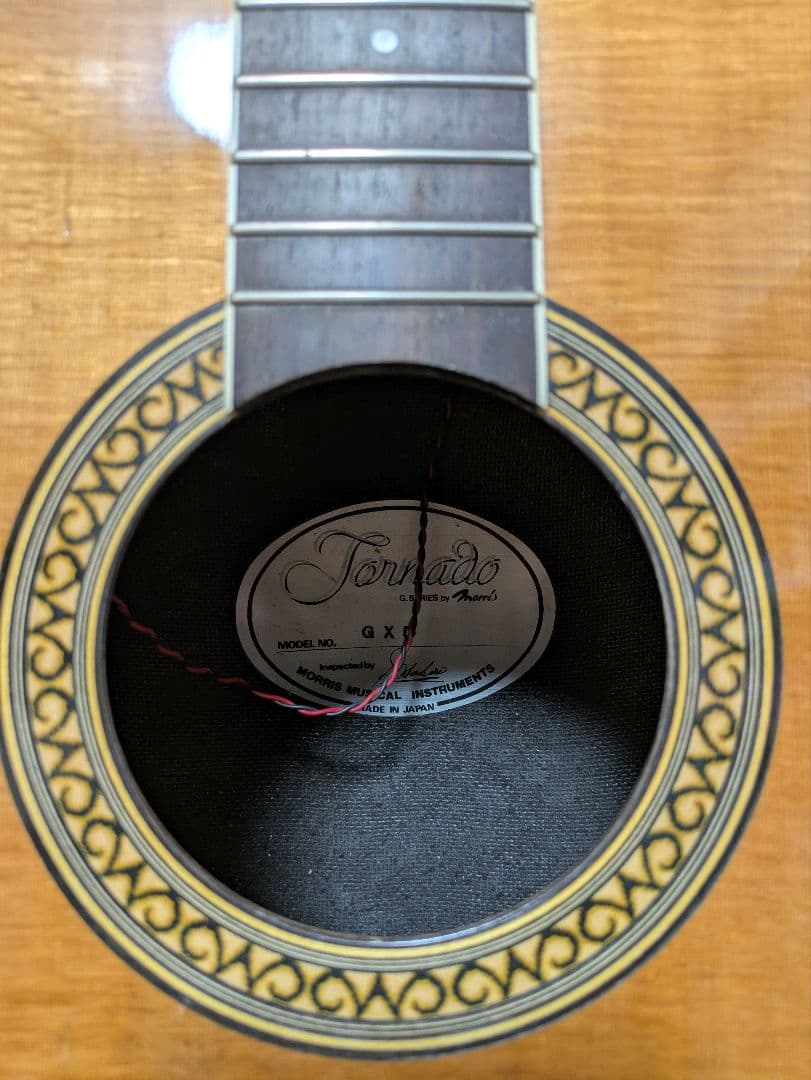 Morris Tornado gdx エレアコースティックギター(日本製)