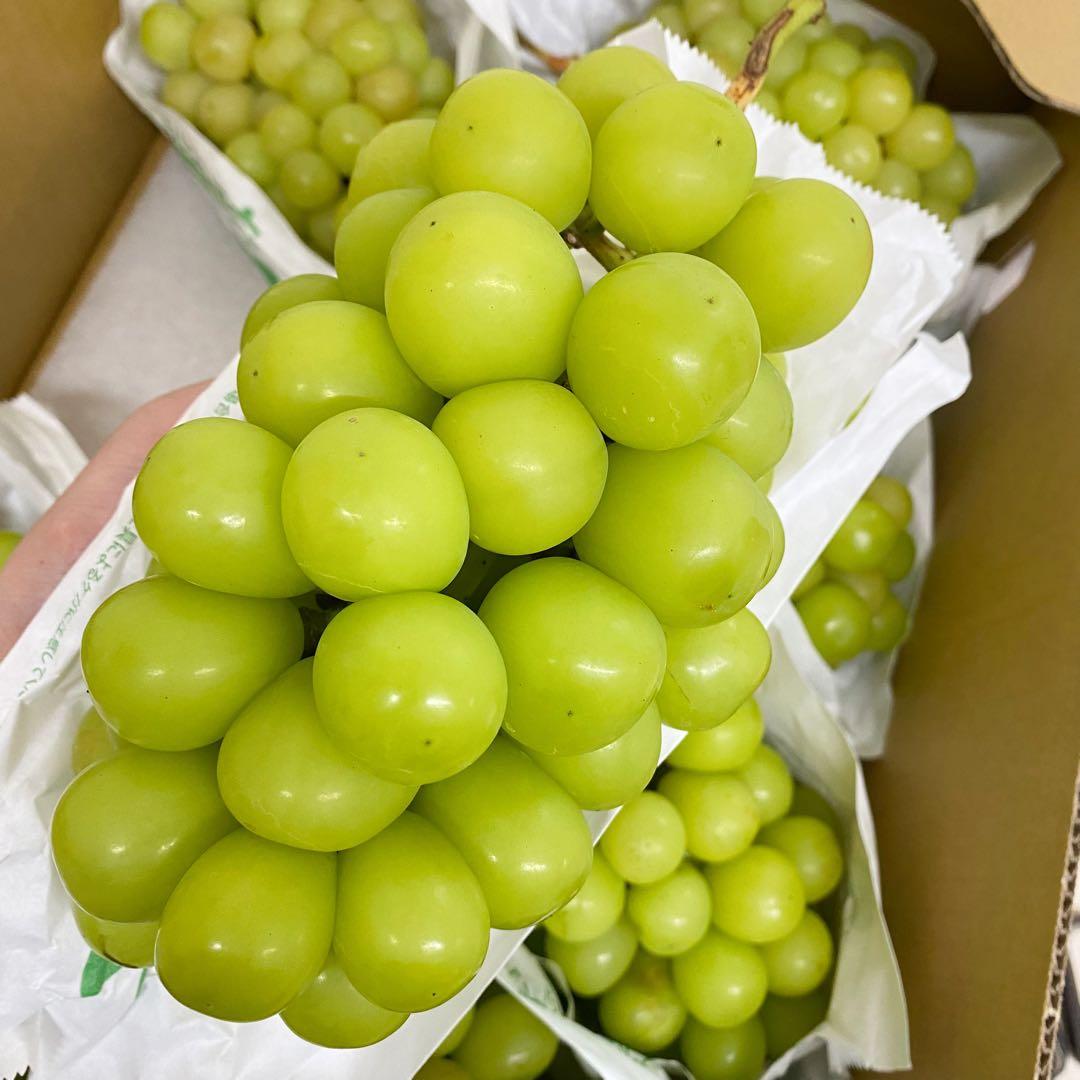 山梨県産　訳あり　家庭用　シャインマスカット　7房　箱込み5.4kg ①