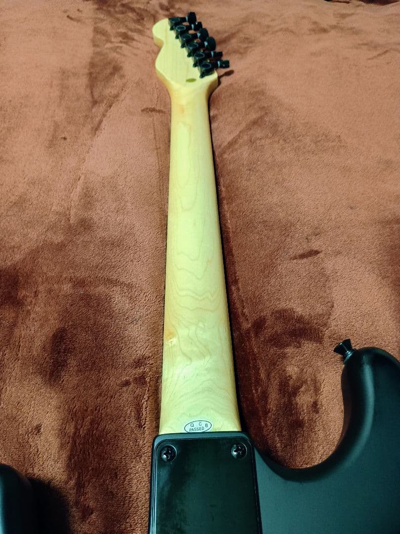 【最終値下げ品】エレキギター SELDERセルダー STC-04 マットブラック