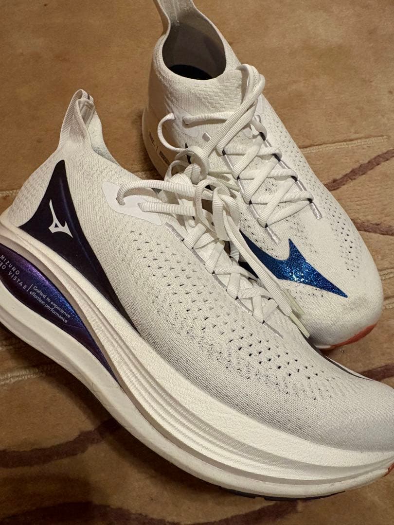 Mizuno ネオビスタ2 27.5