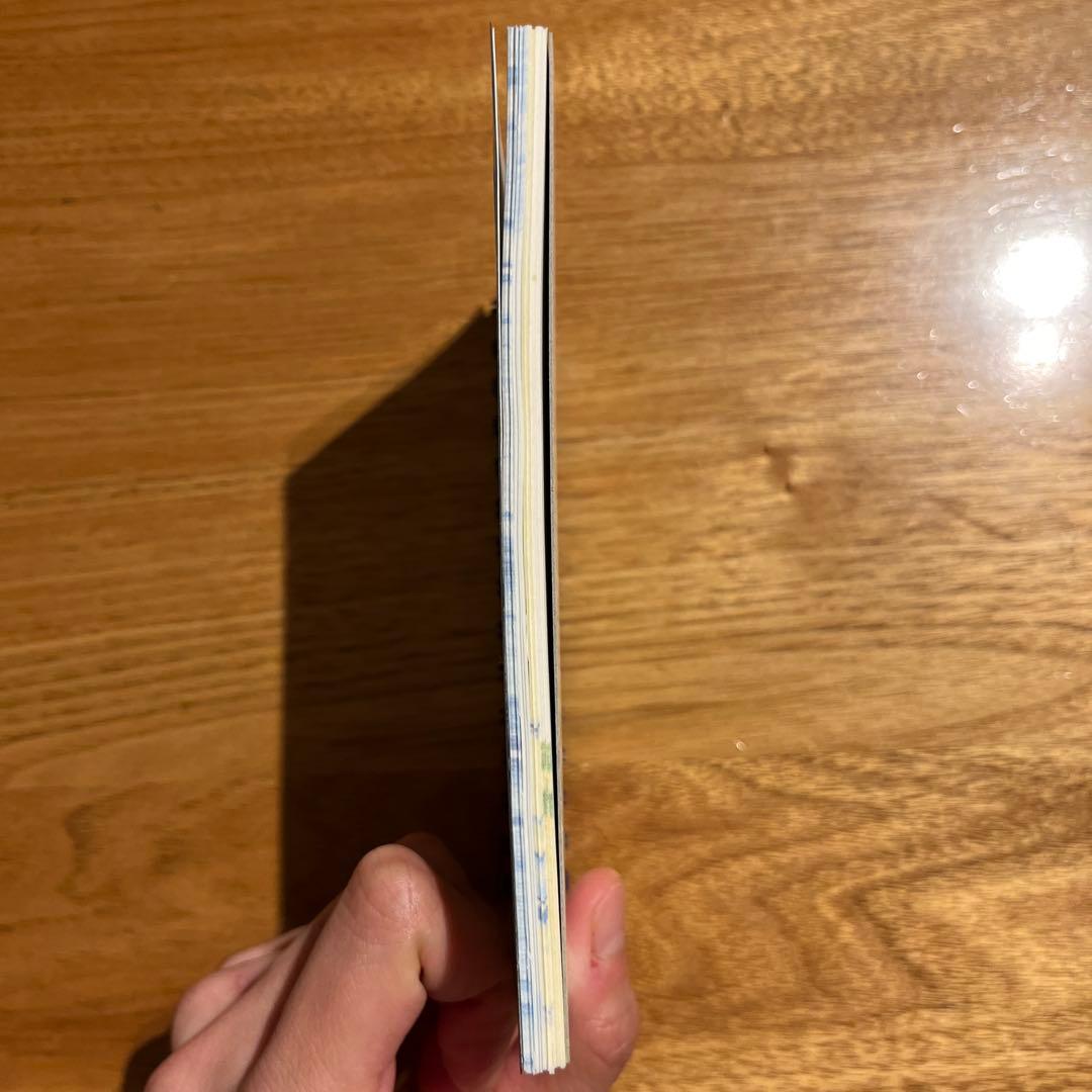 平成レトロ　クーリア　ハイビスカスこぱむだ　パンダ　Wリングメモ