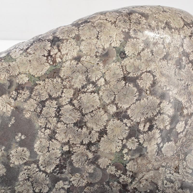 天然石　鑑賞石　梅花石　置物　重さ約4kg　V　R6551