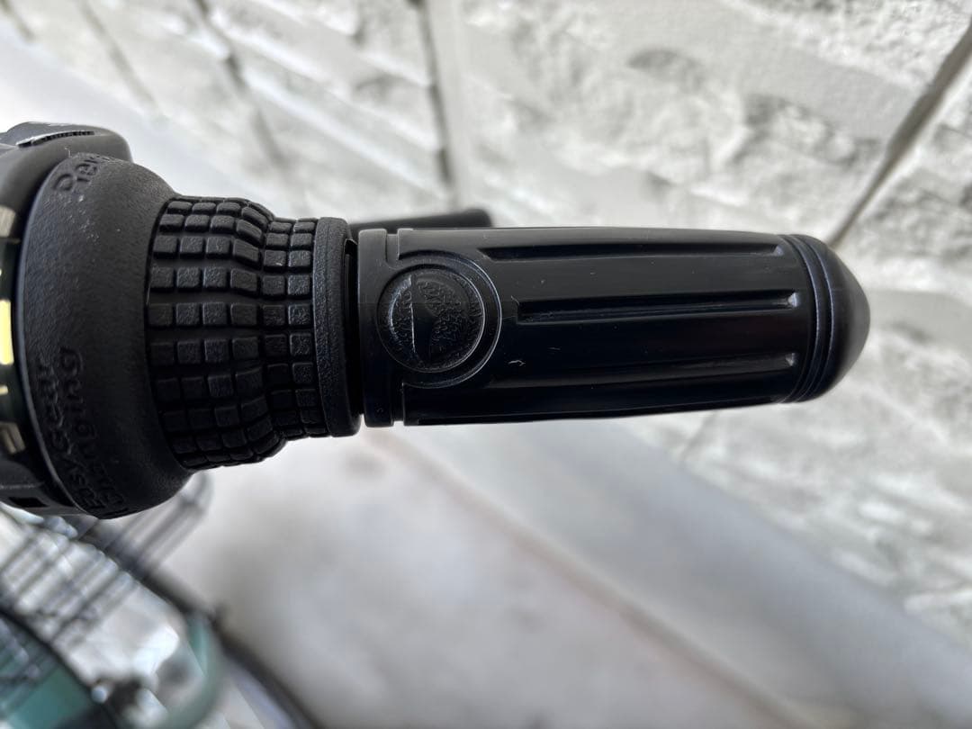 【土日引取り限定（大阪）】ダイワサイクル　ルミナG　グリーン系