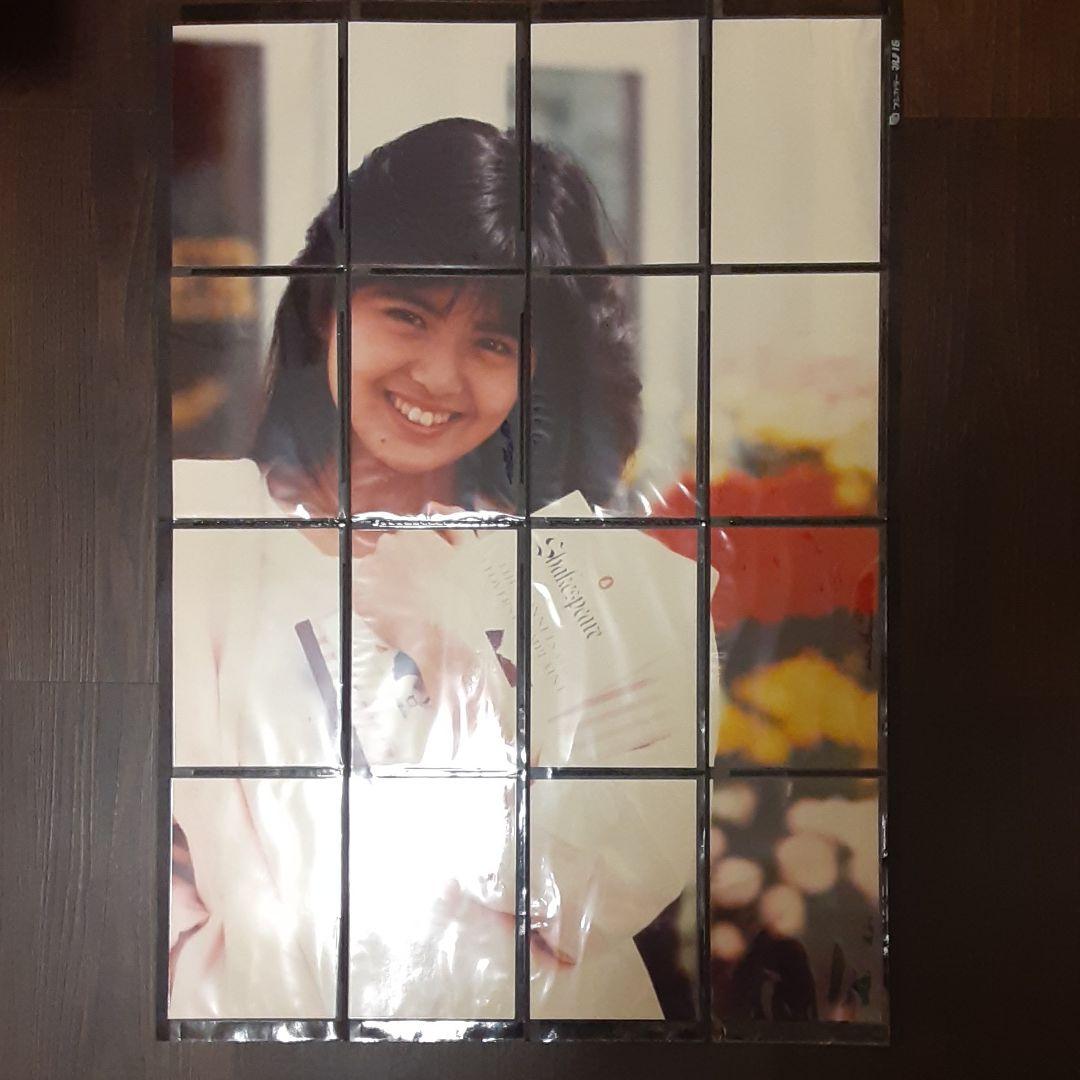 南野陽子　フジカラー　分割大伸しマルチ16 貴重レア❗