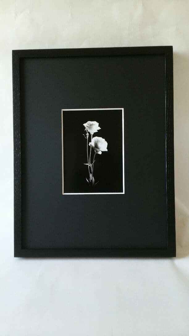 花 大切な人へのプレゼント「トルコキキョウ・・・家族へ」