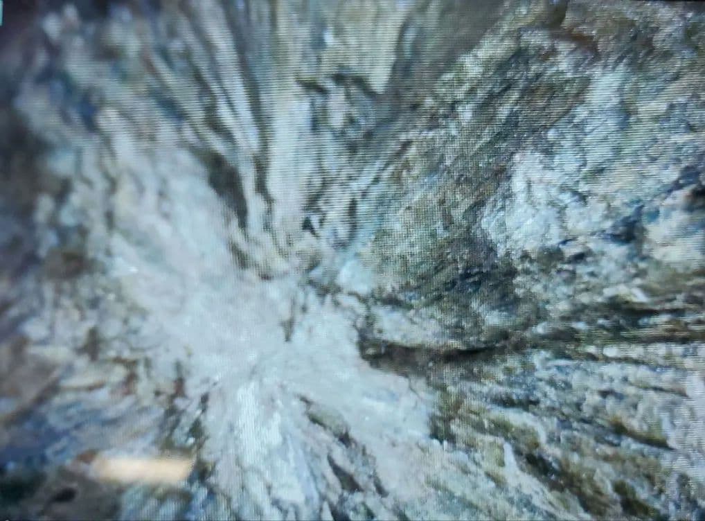 【貴重】灰鉄輝石 菊寿石 岐阜県 山県市 柿野東洞 柿野鉱山 鉱石 原石 国産