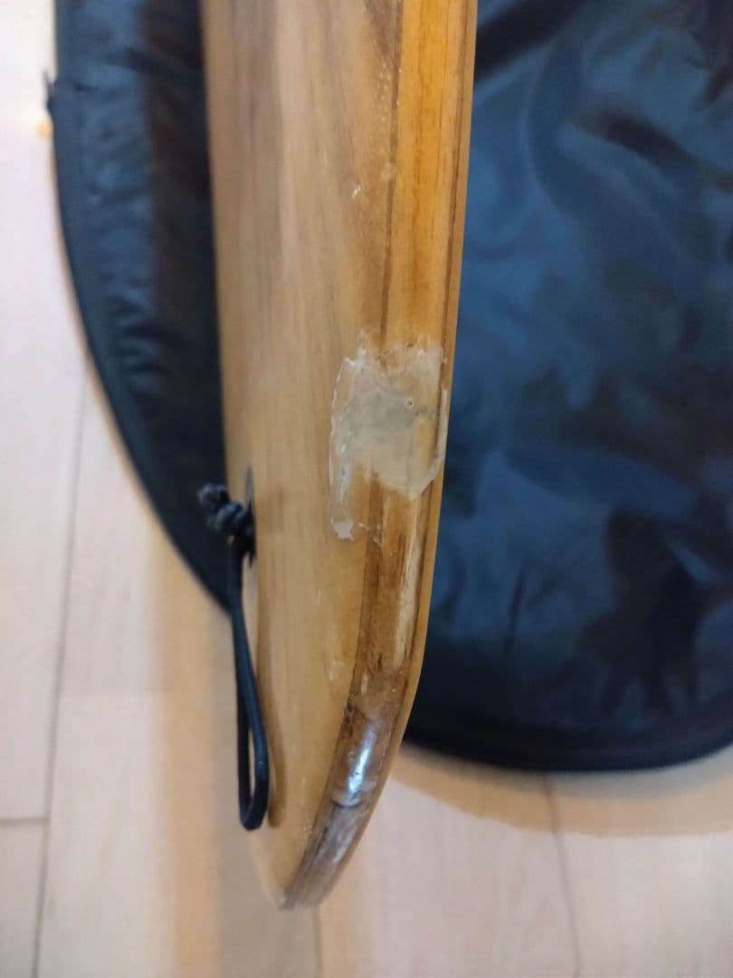 FIREWIRE the GEM 9'5\"×22 1/2\"×3 70.3L