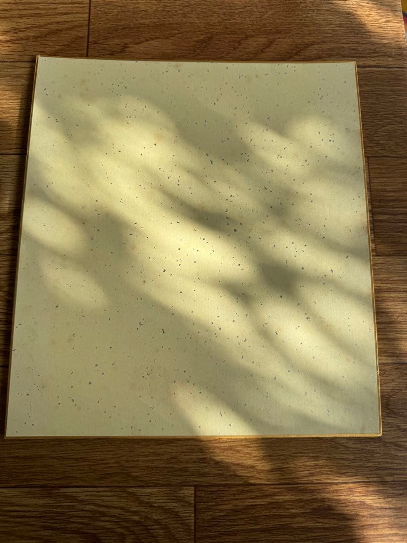 千葉ロッテマリーンズ　小坂誠選手　直筆サイン色紙