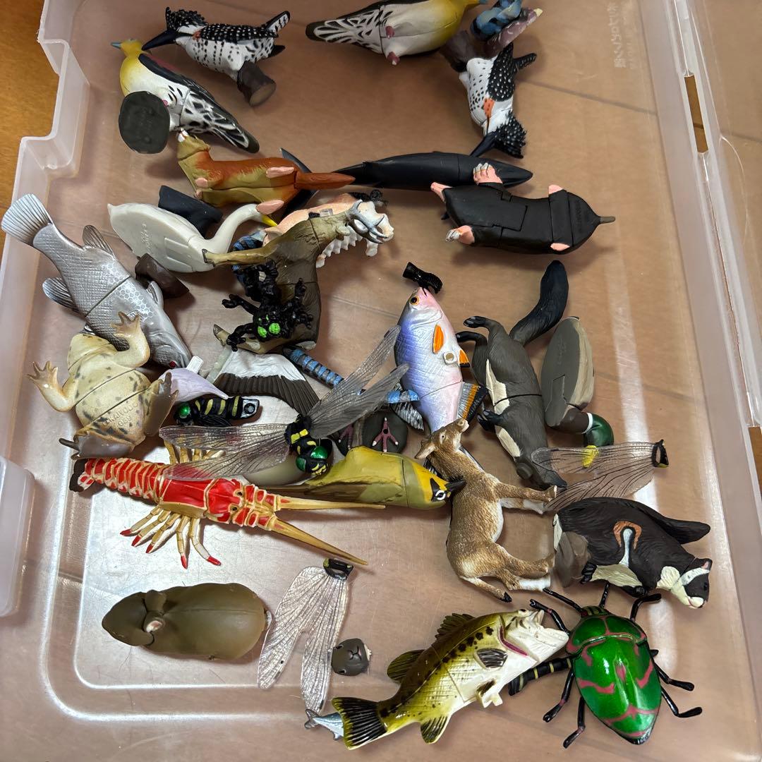 チョコエッグ　ツチノコ　シークレット