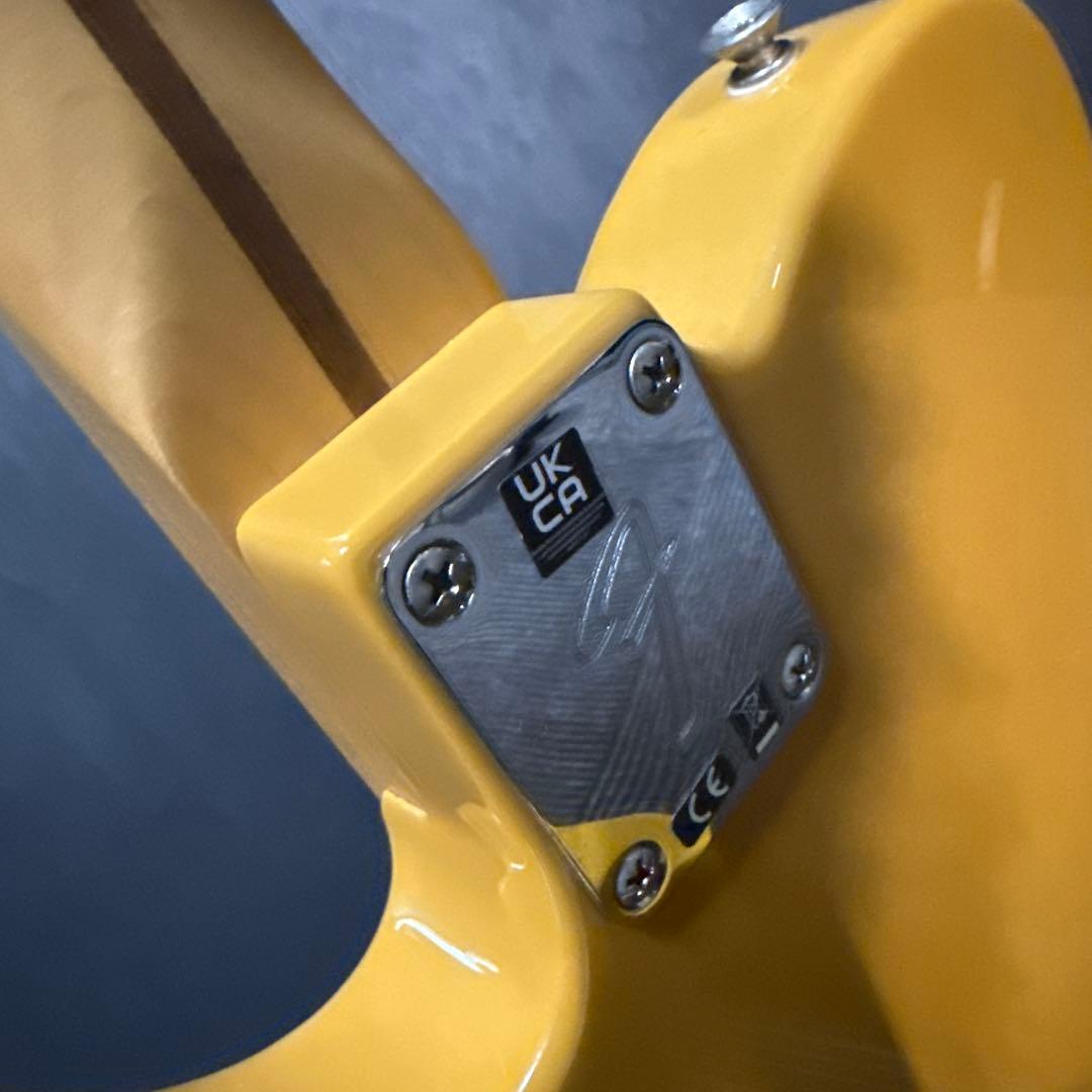 ギター Fender Player Telecaster Butterscotch