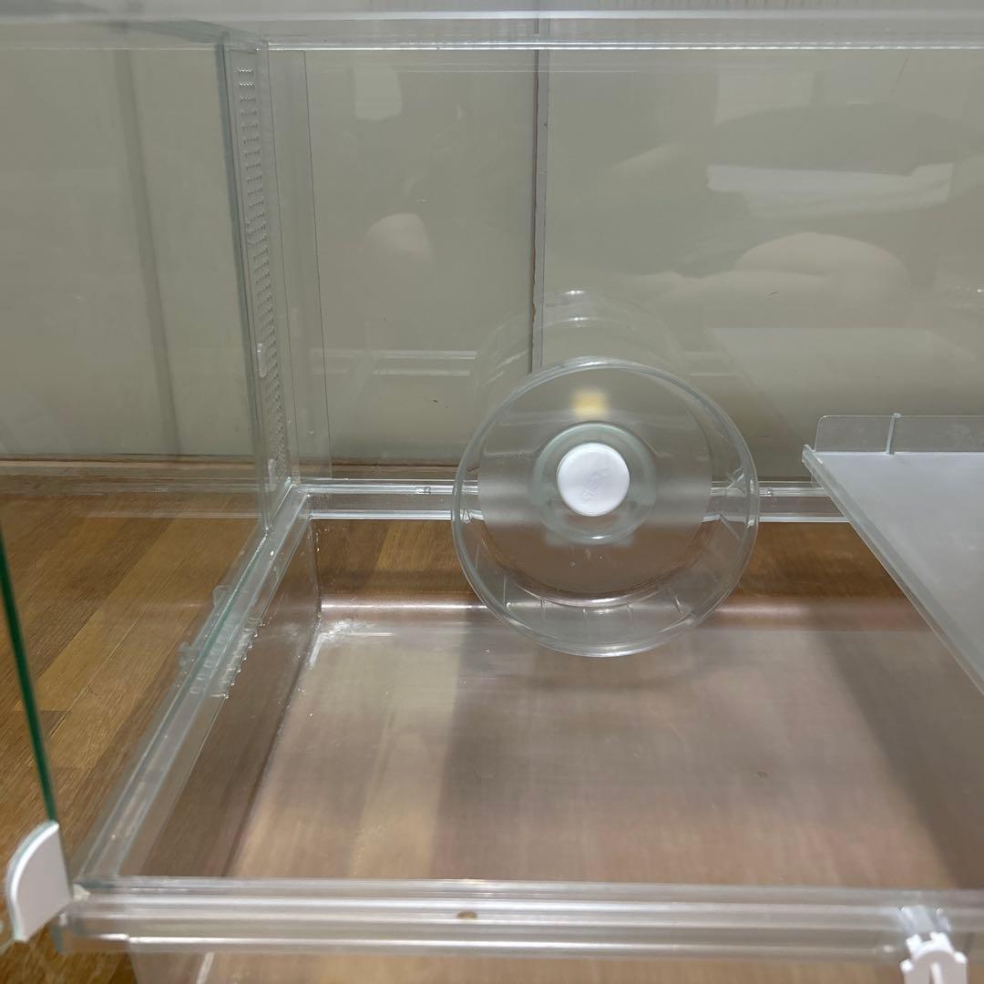 グラスハーモニー600