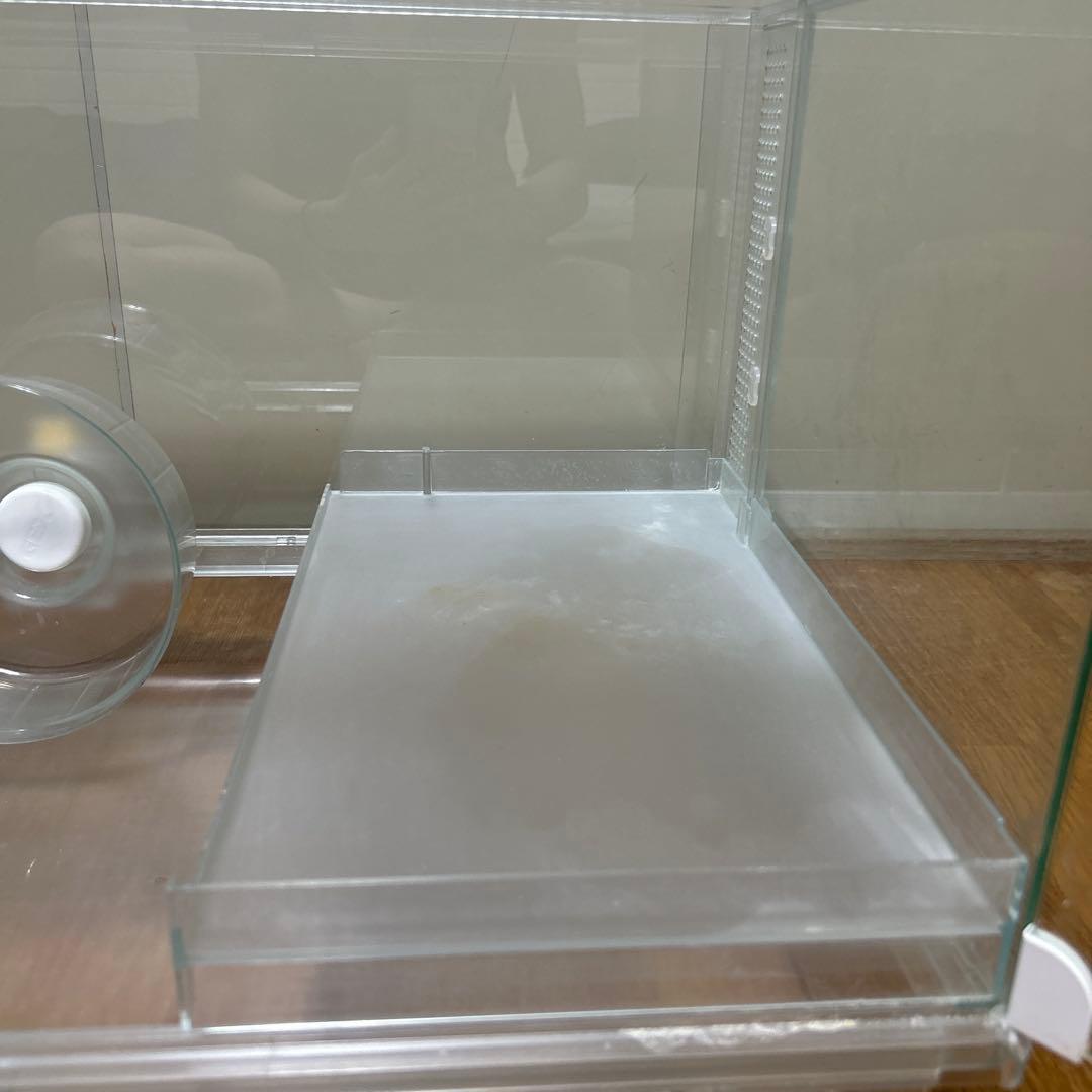 グラスハーモニー600