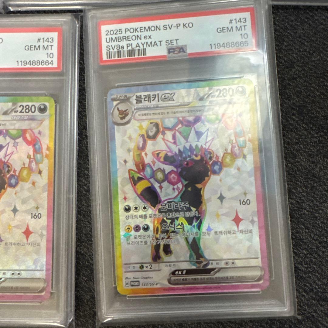 PSA10 ブラッキーex 韓国　テラスタルフェスex 5枚