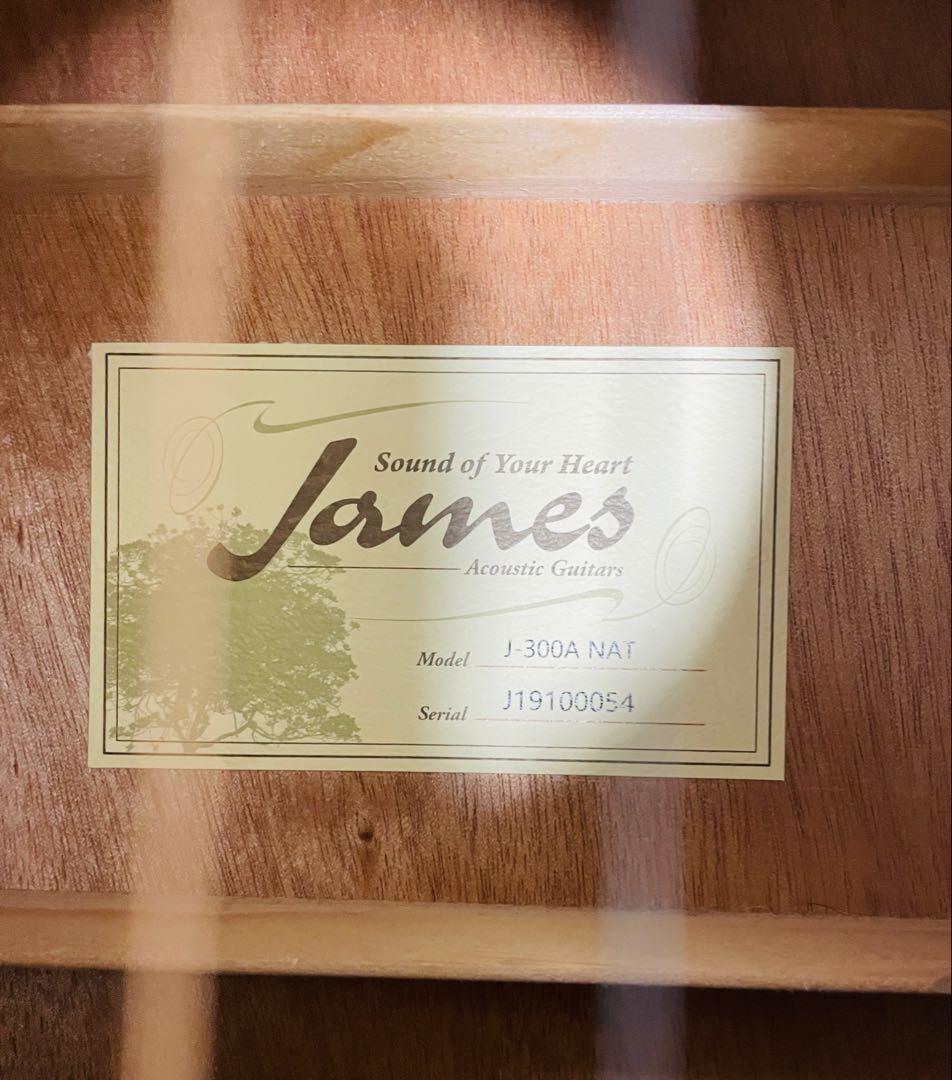 (美品) James J-300A NAT アコースティックギター