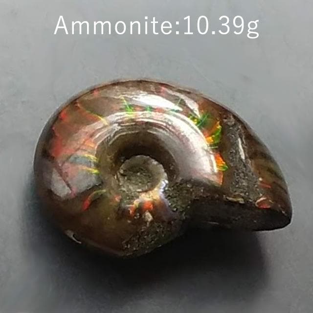 10.39g　アンモナイト　貝化石　マダガスカル産