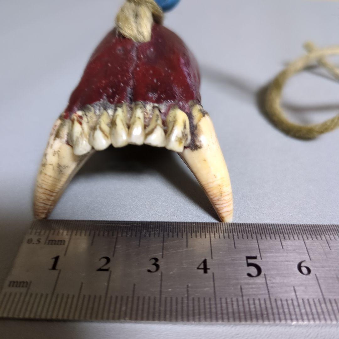 アイヌ根付　羆下顎　北海道