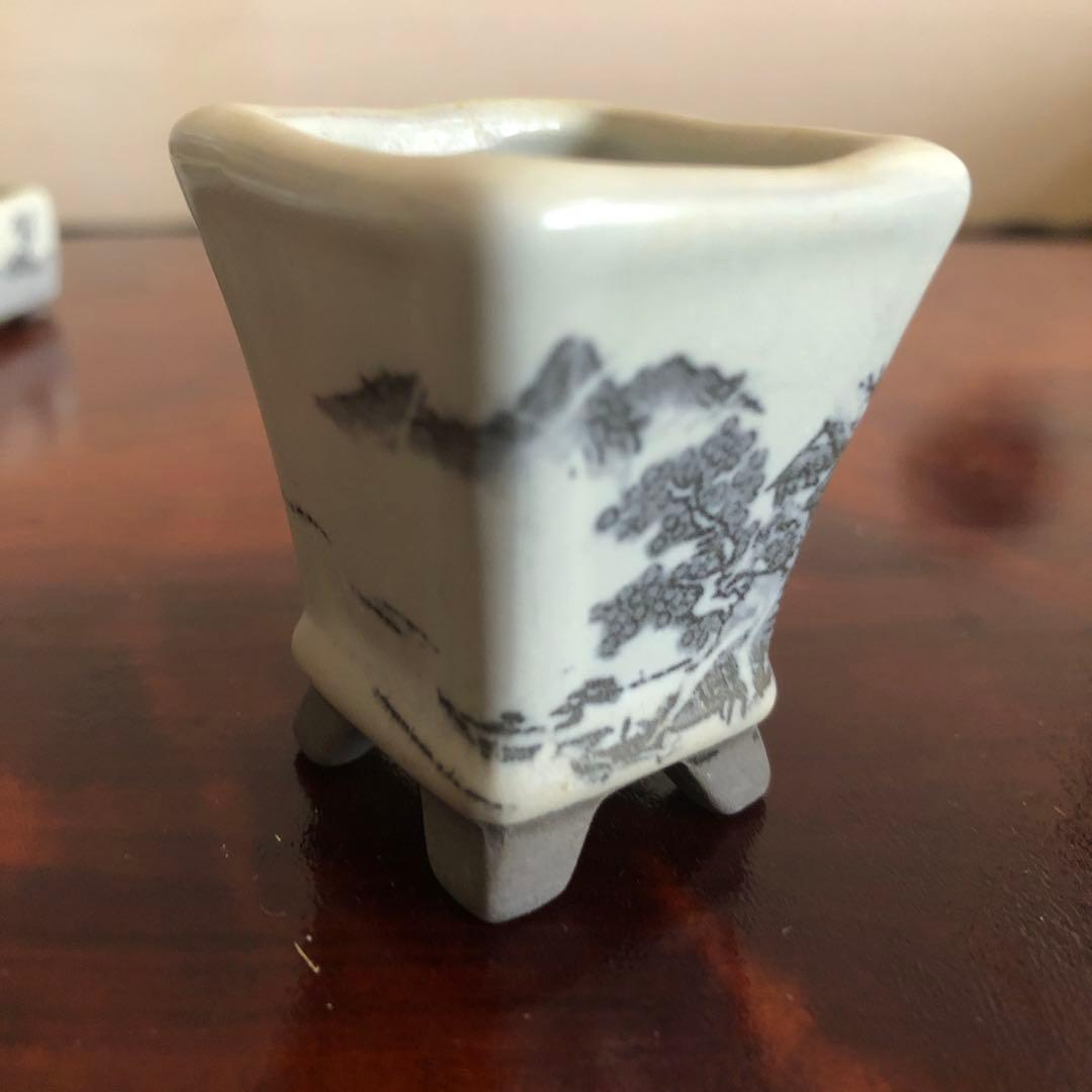 小品盆栽　サボテン　植物鉢 8点組　絵柄6点　小餅庵2点