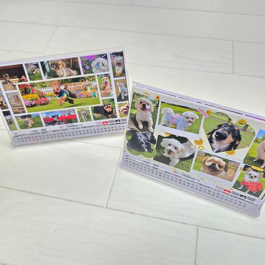 ②『犬』 卓上チャリティーカレンダー5枚セット