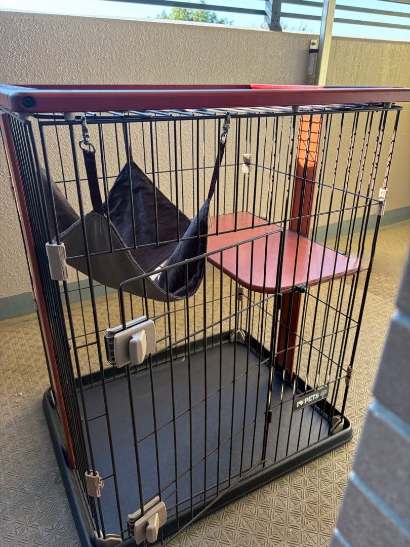 ボンビアルコン　ウッドワンサークル キャット ミニ